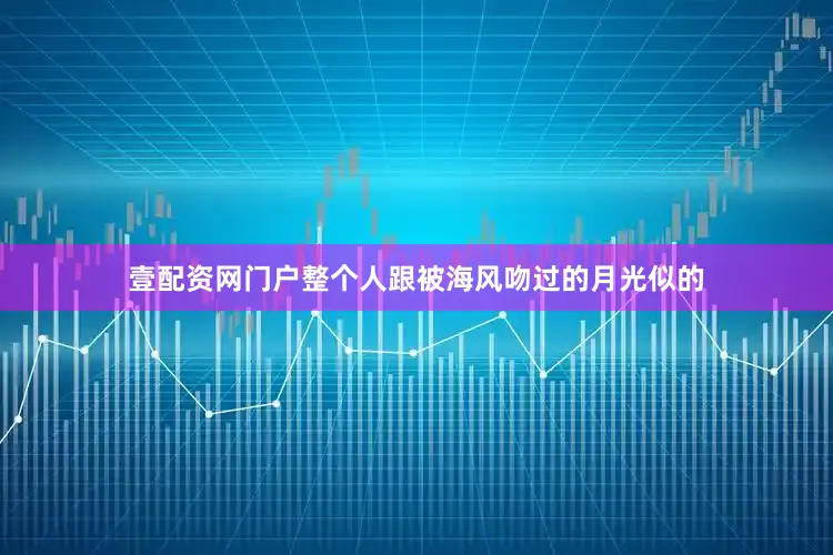 壹配资网门户整个人跟被海风吻过的月光似的