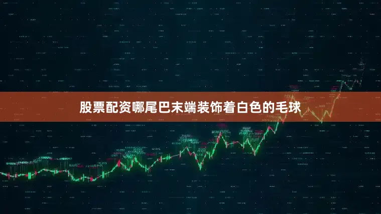 股票配资哪尾巴末端装饰着白色的毛球
